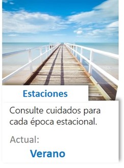La idea